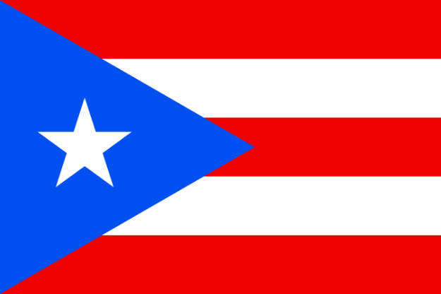 Vlag Porto Rico - 100x150cm Spun-Poly